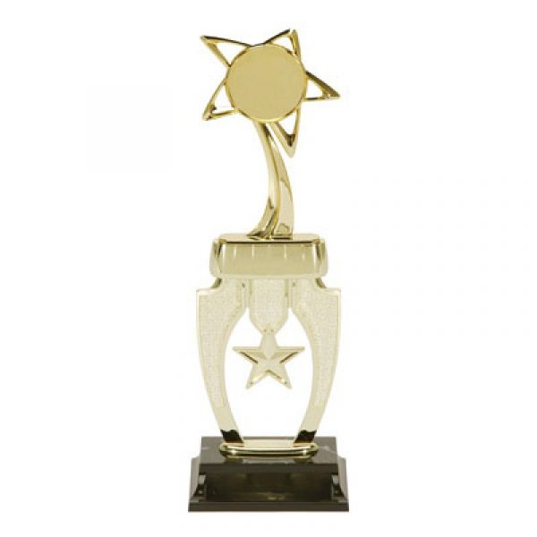 Insert Star Riser Trophy