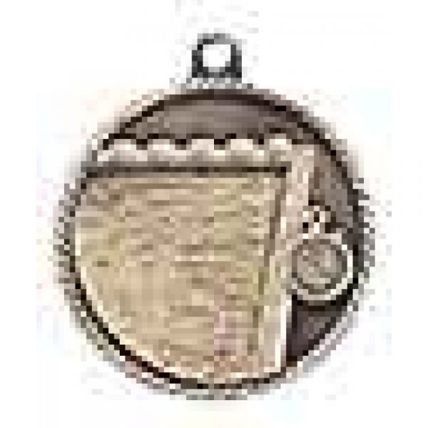 Swimming Medal