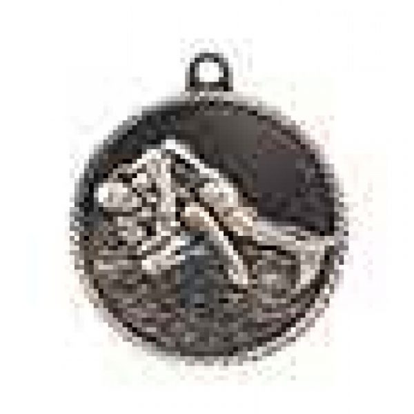 Wrestling Medal