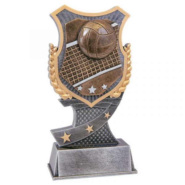 Volleyball Trophy